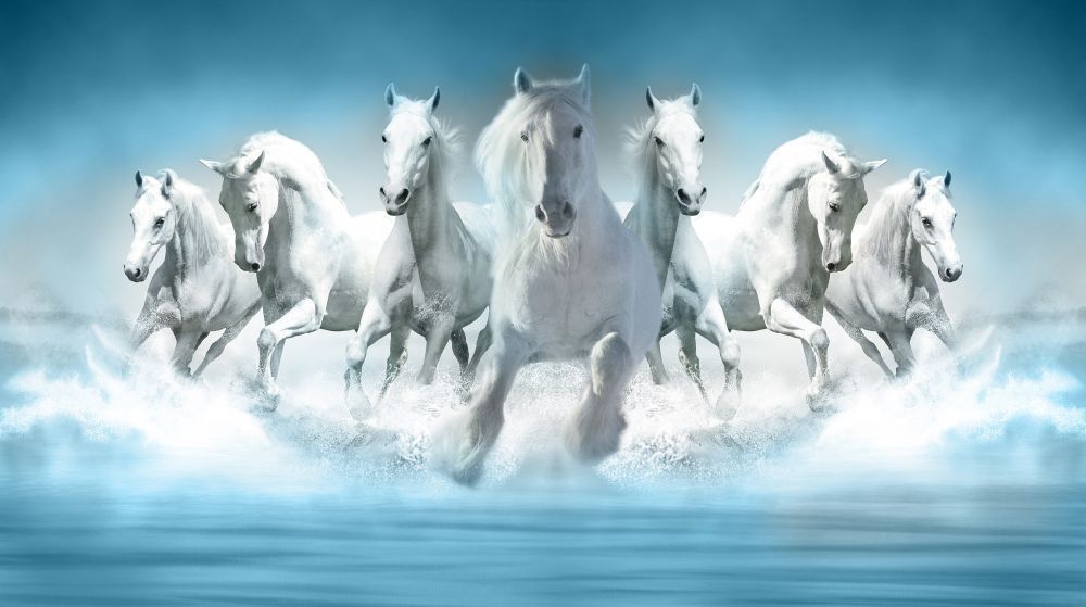 The Power of 7 Horse Vastu: Symbolism, Benefits, and Placement Tips
